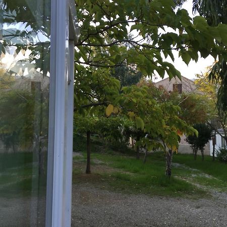 Camping Les Orangers San-Martino-di-Lota Bilik gambar