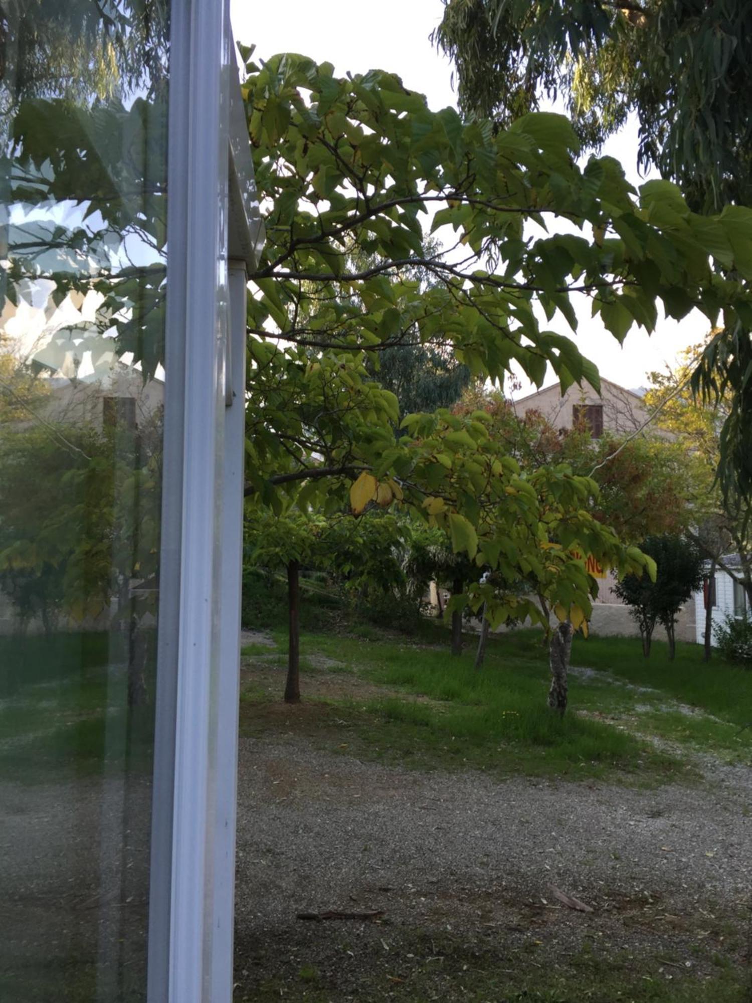 Camping Les Orangers San-Martino-di-Lota Bilik gambar