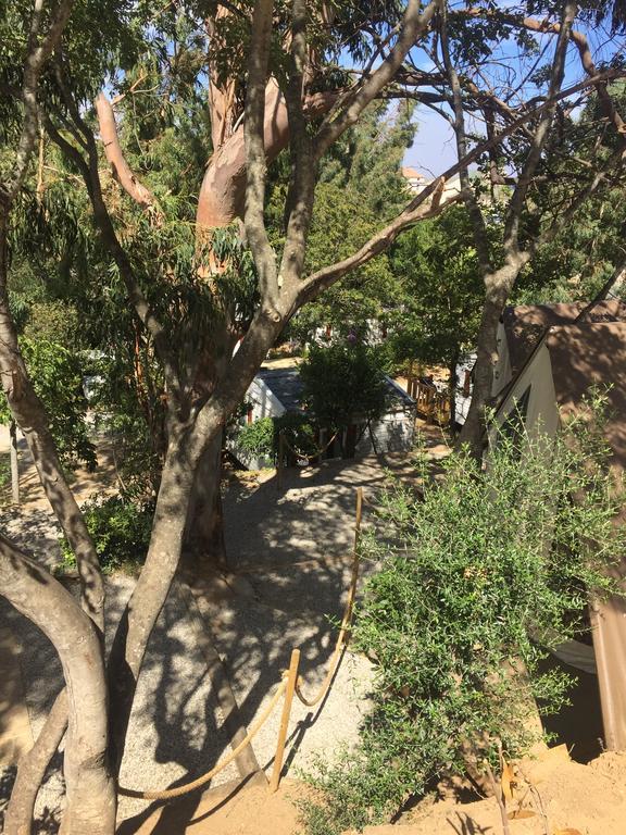 Camping Les Orangers San-Martino-di-Lota Luaran gambar