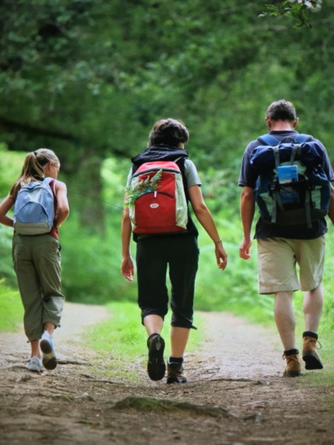 Camping Les Orangers San-Martino-di-Lota Luaran gambar